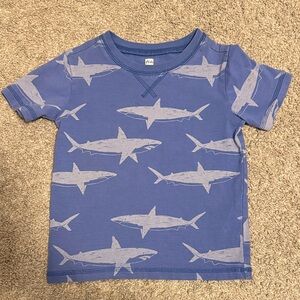 Tea Collection Blue Shark Tee